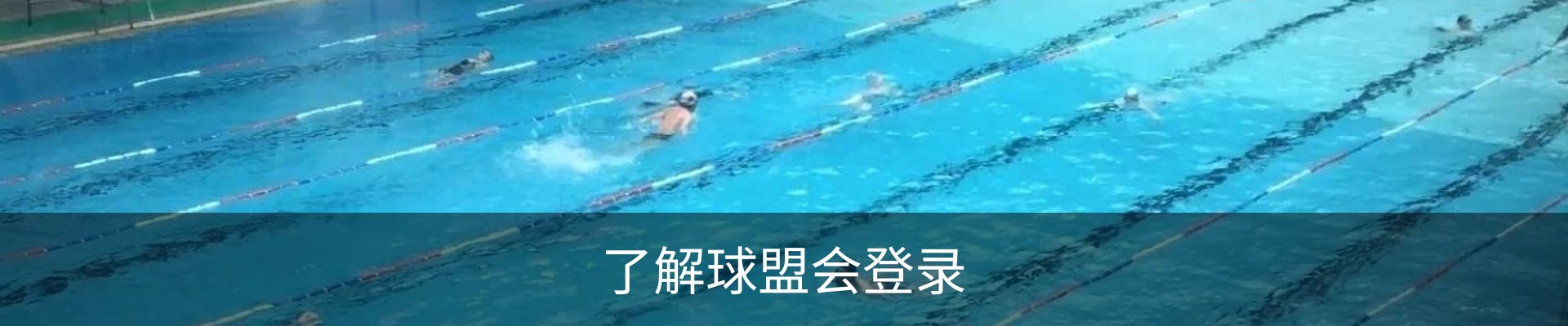 了解球盟会登录